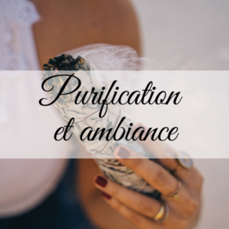 Purification et ambiance