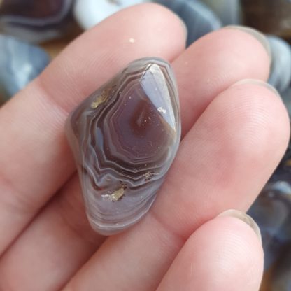 Agate du botswana pierres naturelles lithothérapie