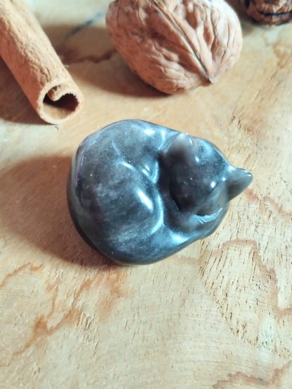 Petit chat en obsidienne argentée – Image 2