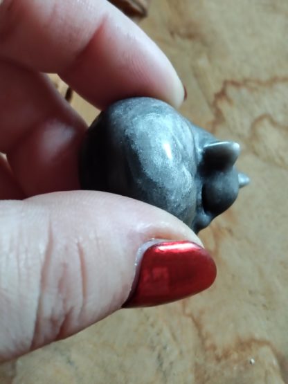 Petit chat en obsidienne argentée – Image 4