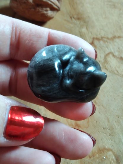 Petit chat en obsidienne argentée – Image 5
