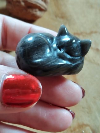 Petit chat en obsidienne argentée