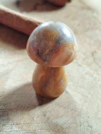 Champignon en agate
